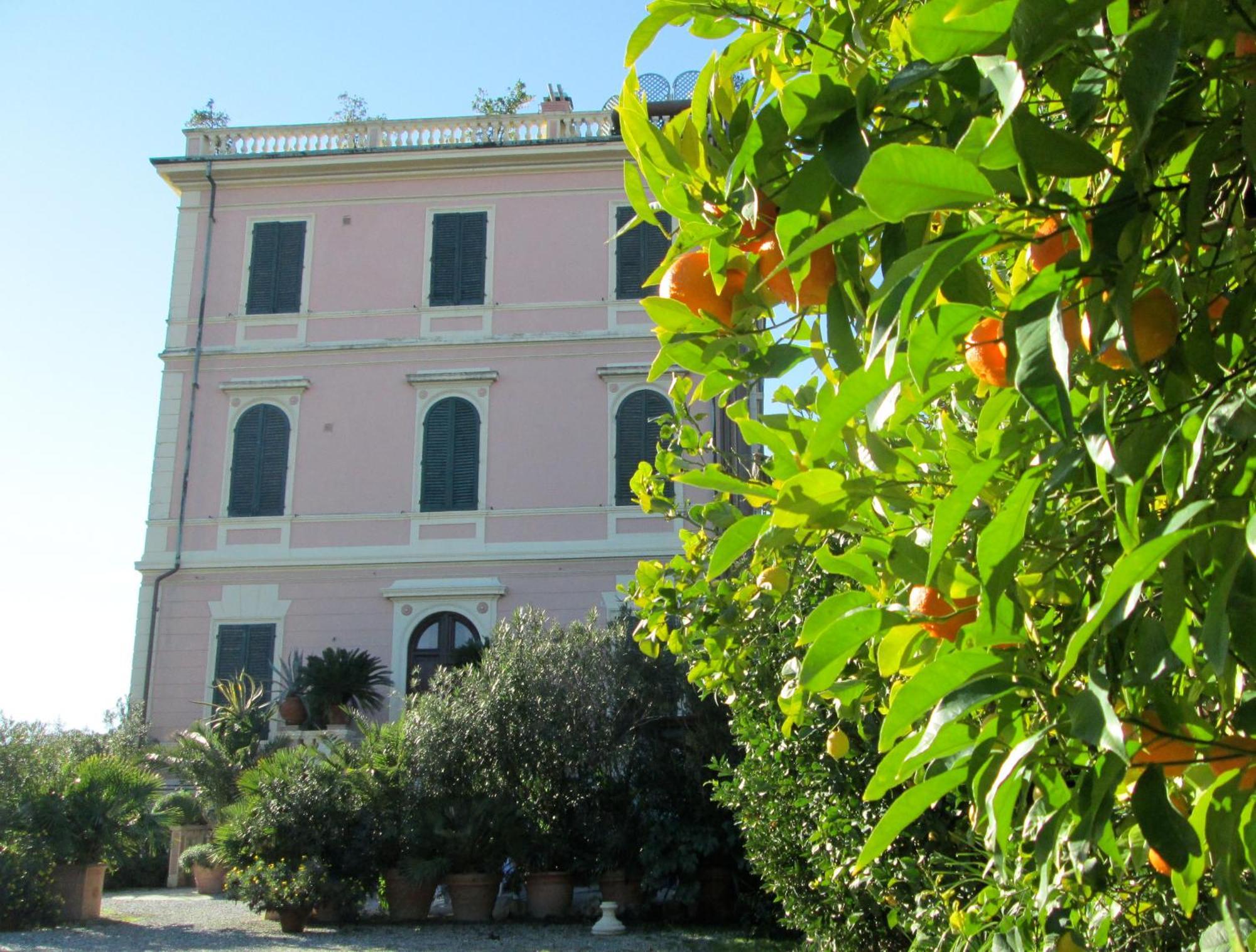 Hotel Italia Марина-ди-Масса Экстерьер фото